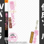 AVパケコラフレーム 「激突お仕置きピストン」ver. [RJ399633][AVパケコラ制作所]