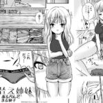 皮替え姉妹 [RJ407099][憑依(はい)る抜け道]