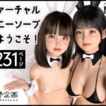 ヴァーチャルバニーソープへようこそ! [RJ411287][夏野企画]