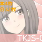 TKJS-04 [RJ419126][ルド庵]