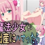 魔法少女が出産にハマったら [RJ438068][異端工房]