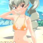 【VRM 同人作品】ガルパン アンチョビ (水着) [RJ01021067][Type X]