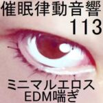 催眠律動音響113_ミニマルエロスEDM喘ぎ [RJ01030303][ぴぐみょんスタジオ]