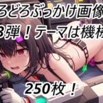 名倉礼屋 ニッチなどろどろ画像集 Vol.3 機械姦 [RJ01031325][名倉礼屋]