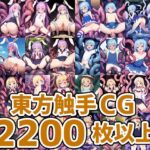 弾幕少女触手HCG集まとめ売り [RJ01035616][AIで遊ぼ]