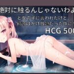 「絶対に触るんじゃないわよ」と女の子に言われたけど、精液はかけ放題だった件について [RJ01042946][Sat's]