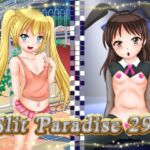 Slit Paradise 29 [RJ01044836][あでのしん]