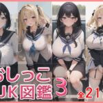 おしっこJK図鑑3 [RJ01044928][引きこもりんご]