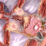 先輩と内臓丸見ええっち【絶望的に透明な少女 巫 架澄】マニアックver. [RJ01049315][あじふらいこんでんさ]