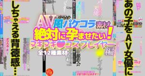 AV風パケコラ素材「絶対に孕ませたい!ヌキヌキコスプレイヤー」編 [RJ01069923][Rev Create]