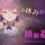 お休みなさい、お兄ちゃん♪【睡眠姦・おさわりシミュレーション】 [RJ01069448][コラピ]