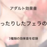 [アダルト効果音素材]まったりしたフェラの音[著作権フリー] [RJ01074095][大人の音素材]