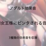 [アダルト効果音素材]SM女王様にビンタされる音2[著作権フリー] [RJ01074991][大人の音素材]