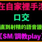 在自家裡手淫、口交、一直到射精的語音謾罵【SM/調教play】 [RJ01334857][台灣女孩 莉莉的房間]